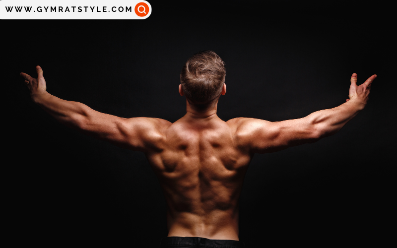 How To Do Seated Cable Row